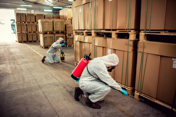 Reliable Hartshorne, OK Pest Control Solutions