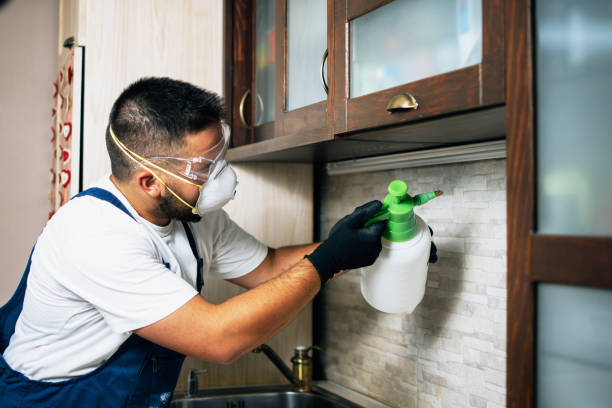 Flea Control Services in Hartshorne, OK