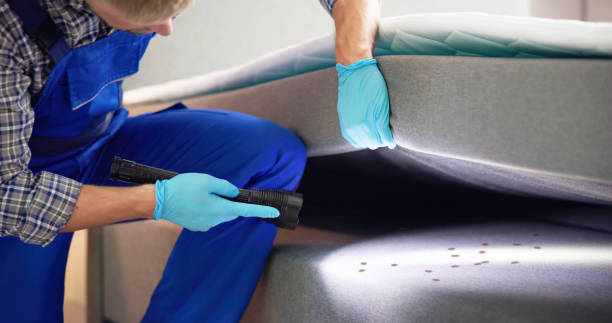 Best Pest Inspection Near Me  in Hartshorne, OK