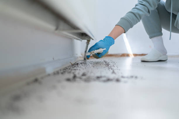 Best Affordable Pest Control Services  in Hartshorne, OK